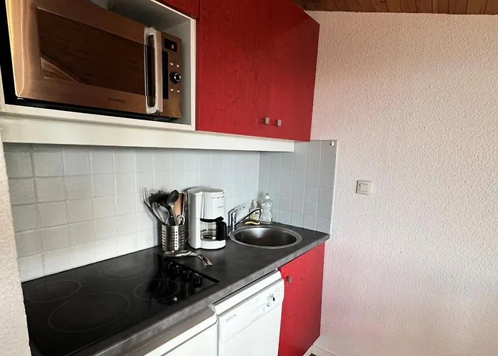 Andromede - Confort - Acces Direct Aux Pistes - Vue Pistes Mae-6394 * 라 플라뉴